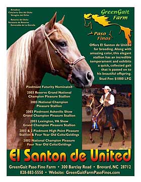Paso Fino Stallion Poster, Ad and Flyer Design 