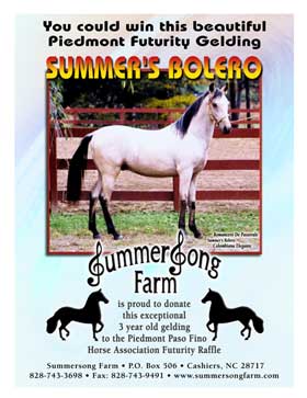 Horse Breeder Ad and Poster Design