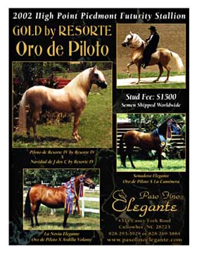 Flyer and ad design in Asheville,  NC