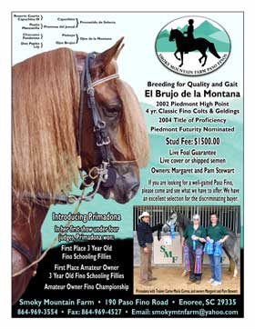 Paso Fino Stallion Ad and Flyer Design 