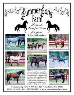 Horse Breeder Ad and Poster Design