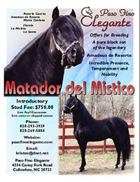 Custom Flyer and Ad Design